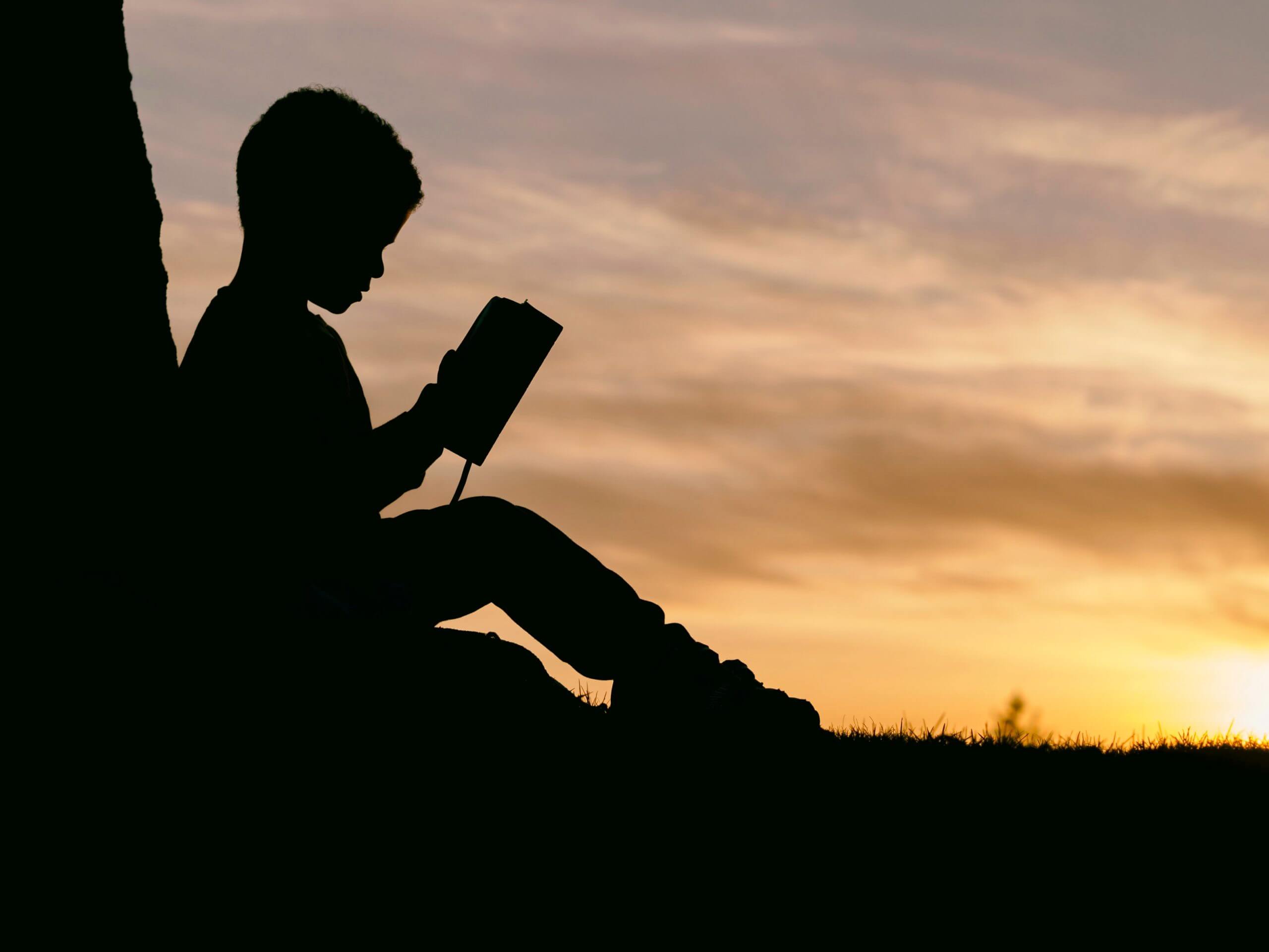 Boy reading next to tree